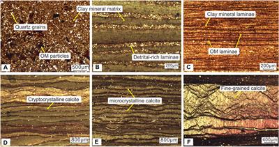 The Control of Diagenesis and Mineral Assemblages on Brittleness of Mudstones